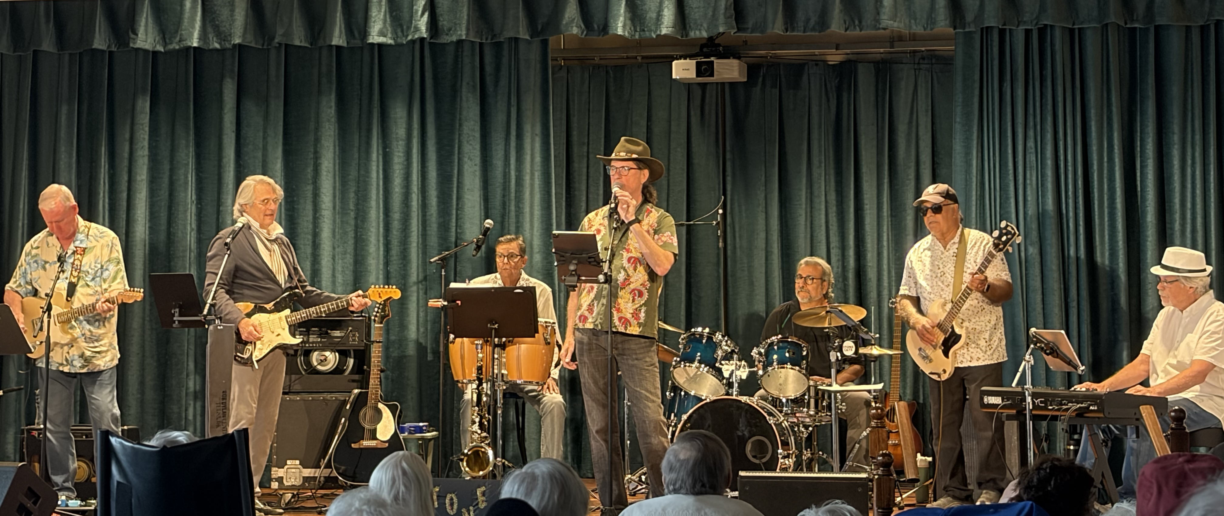 The Stone Cats band banner photo
